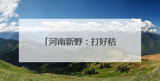 河南新野：打好秸秆禁烧“组合拳” 全力守护蓝天沃土