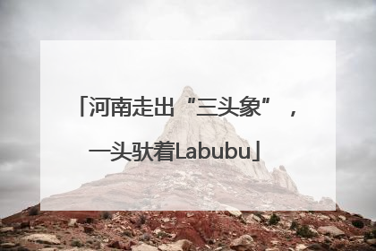 河南走出“三头象”，一头驮着Labubu