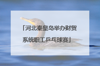河北秦皇岛举办财贸系统职工乒乓球赛