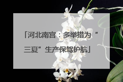 河北南宫：多举措为“三夏”生产保驾护航