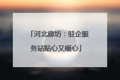 河北廊坊：驻企服务站贴心又暖心