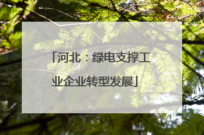 河北：绿电支撑工业企业转型发展