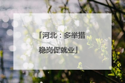 河北：多举措稳岗促就业