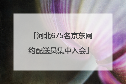 河北675名京东网约配送员集中入会