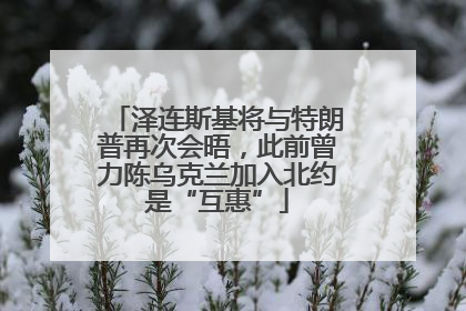 泽连斯基将与特朗普再次会晤，此前曾力陈乌克兰加入北约是“互惠”