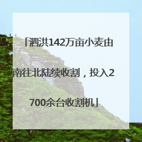 泗洪142万亩小麦由南往北陆续收割，投入2700余台收割机