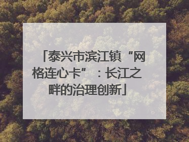 泰兴市滨江镇“网格连心卡”：长江之畔的治理创新