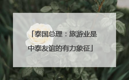 泰国总理：旅游业是中泰友谊的有力象征
