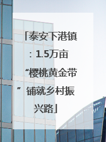 泰安下港镇：1.5万亩“樱桃黄金带”铺就乡村振兴路