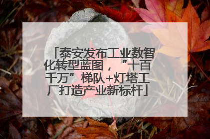 泰安发布工业数智化转型蓝图，“十百千万”梯队+灯塔工厂打造产业新标杆