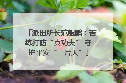派出所长范鲲鹏：苦练打防“真功夫” 守护平安“一片天”