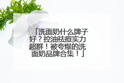 洗面奶什么牌子好？控油祛痘实力超群！被夸爆的洗面奶品牌合集！