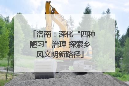 洛南：深化“四种陋习”治理 探索乡风文明新路径