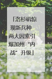 洛杉矶惊现新兵种 两大因素引爆加州“内战”升级