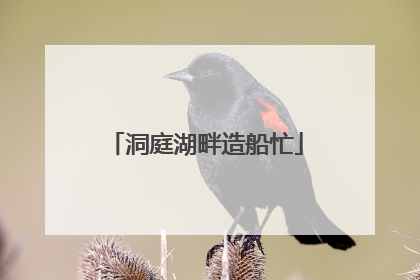 洞庭湖畔造船忙