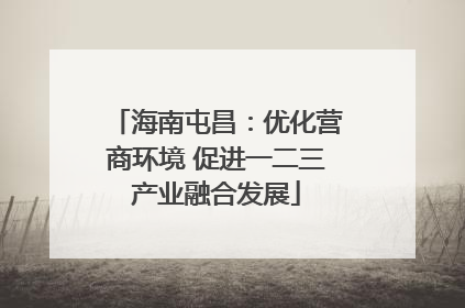 海南屯昌：优化营商环境 促进一二三产业融合发展