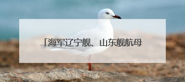 海军辽宁舰、山东舰航母编队完成实战化训练任务