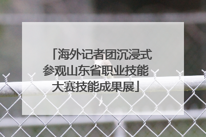 海外记者团沉浸式参观山东省职业技能大赛技能成果展