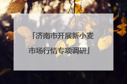 济南市开展新小麦市场行情专项调研