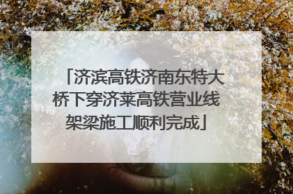 济滨高铁济南东特大桥下穿济莱高铁营业线架梁施工顺利完成