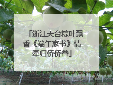 浙江天台粽叶飘香《端午家书》情牵归侨侨眷