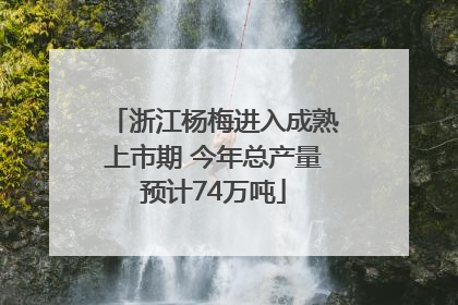 浙江杨梅进入成熟上市期 今年总产量预计74万吨