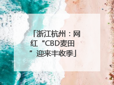 浙江杭州：网红“CBD麦田”迎来丰收季