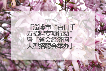 淄博市“百日千万招聘专项行动”暨“省会经济圈”大型招聘会举办