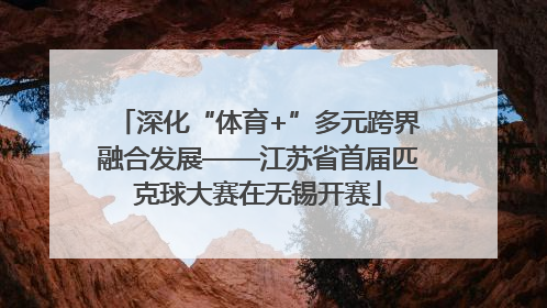 深化“体育+”多元跨界融合发展——江苏省首届匹克球大赛在无锡开赛