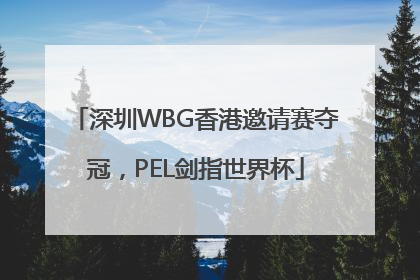 深圳WBG香港邀请赛夺冠，PEL剑指世界杯