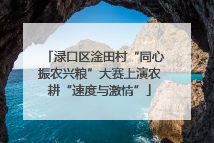 渌口区淦田村“同心振农兴粮”大赛上演农耕“速度与激情”