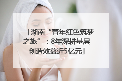 湖南“青年红色筑梦之旅”：8年深耕基层创造效益近5亿元