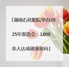湖南石化职院举办2025年双选会：1800余人达成就业意向