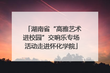湖南省“高雅艺术进校园”交响乐专场活动走进怀化学院