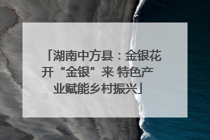 湖南中方县：金银花开“金银”来 特色产业赋能乡村振兴
