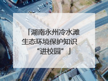湖南永州冷水滩生态环境保护知识“进校园”