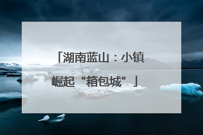 湖南蓝山：小镇崛起“箱包城”