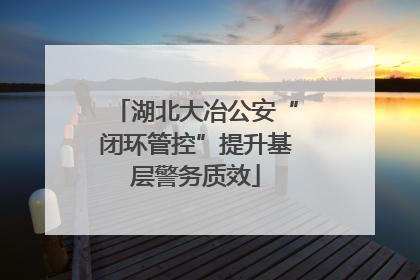 湖北大冶公安“闭环管控”提升基层警务质效