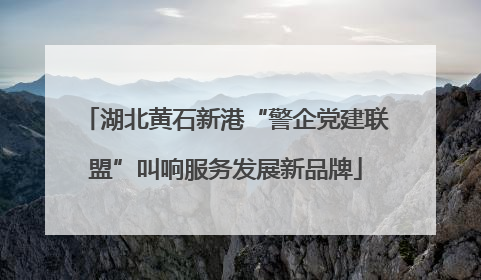 湖北黄石新港“警企党建联盟”叫响服务发展新品牌