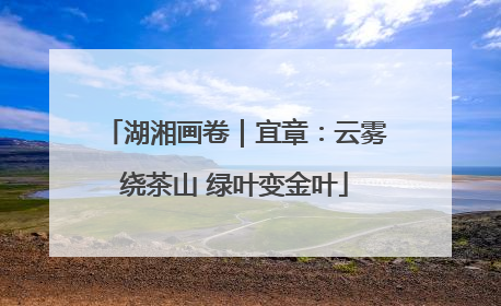 湖湘画卷｜宜章：云雾绕茶山 绿叶变金叶