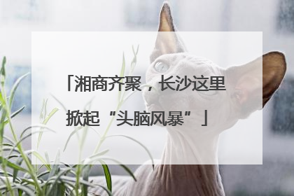湘商齐聚，长沙这里掀起“头脑风暴”