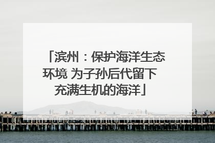 滨州：保护海洋生态环境 为子孙后代留下充满生机的海洋