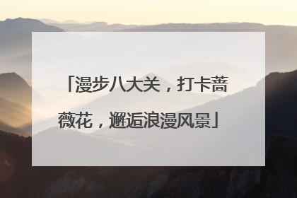 漫步八大关，打卡蔷薇花，邂逅浪漫风景