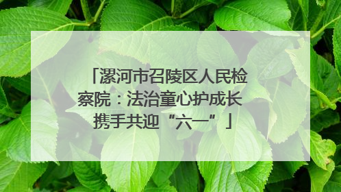 漯河市召陵区人民检察院：法治童心护成长 携手共迎“六一”