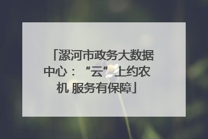漯河市政务大数据中心：“云”上约农机 服务有保障