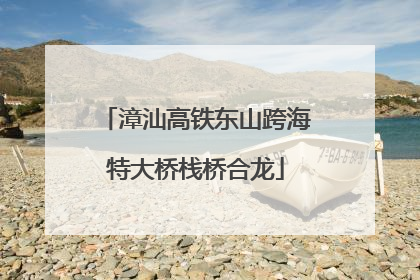 漳汕高铁东山跨海特大桥栈桥合龙