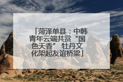 菏泽单县：中韩青年云端共赏“国色天香” 牡丹文化架起友谊桥梁