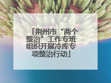 荆州市“两个整治”工作专班组织开展冷库专项整治行动