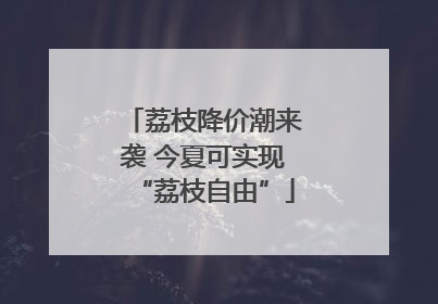 荔枝降价潮来袭 今夏可实现“荔枝自由”