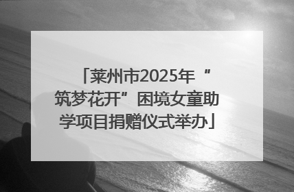 莱州市2025年“筑梦花开”困境女童助学项目捐赠仪式举办